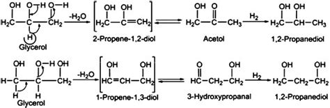 Glycerol hydrogenolysis mechanism | Download Scientific Diagram