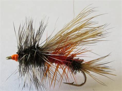 Royal Stimulator Dry Fly Feathergirl