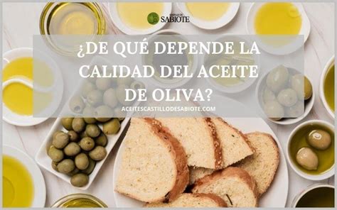 De qué depende la Calidad del Aceite de Oliva Encuentra el Mejor