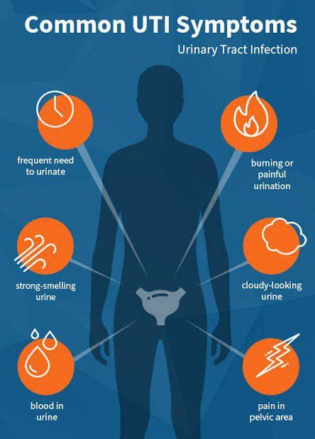 Urinary Tract Infection Medizzy