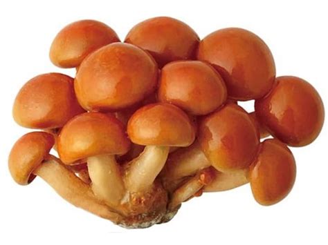 Nameko Mushroom - Shop Mushrooms at H-E-B