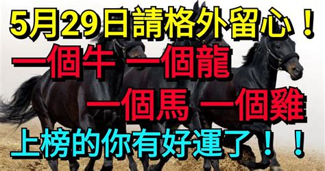 5月29日請格外留心，一個牛，一個龍，一個馬，一個雞！ Peekme