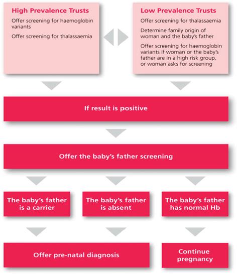 Figure From Antenatal Screening The Uk Nhs Antenatal Screening