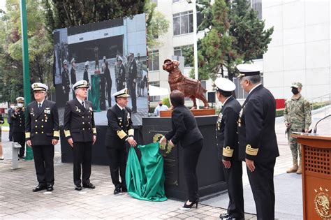 Homenajean A Frida La Perrita Hero Na Tras Sismos De Quadratin