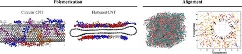 碳纳米管 复合体系中聚合物基体聚合的ReaxFF反应力场研究 The Journal of Physical Chemistry C X MOL