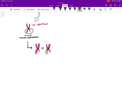 Does crossing over occur during prophase II? From an evolutionary perspective, why is this ...