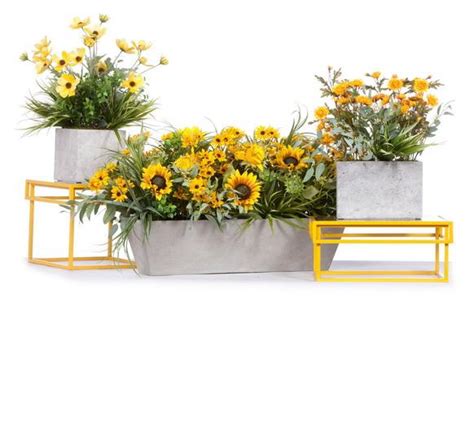 Sunflower Collection Visual Merchandising And Store Design