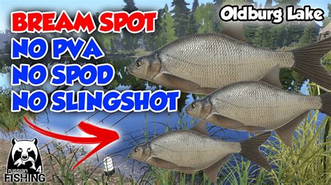 Bream Active Spot Oldburg Lake Without Pva Russian Fishing