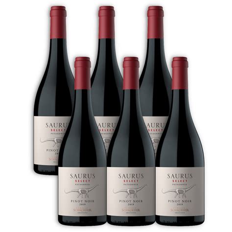 SAURUS SELECT PINOT NOIR CAJA X6U 750ML Borrachines