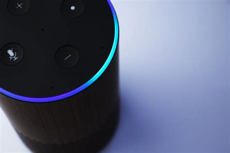 Genug Lose Erscheinen Alexa Amazon Wie Funktioniert Griff Bersetzung