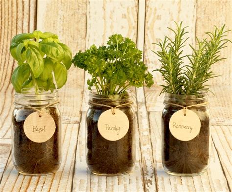 Diy Mason Jar Herb Garden Indoor Kitchen Herbs