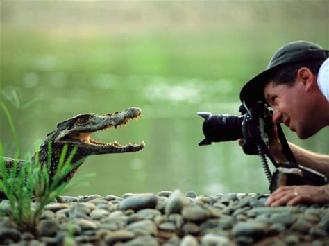 Fascinating Photos Of Wildlife Photographers On The Job 28 Pics