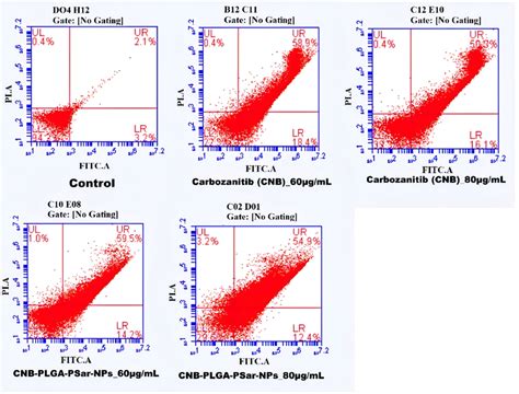 Flow Cytometry Analysis Of Hepg Cells Treated With Different