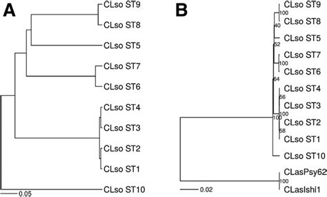 Phylogenetic trees based on the concatenated multilocus sequence typing ... 