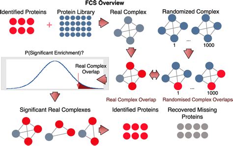 How Functional Class Scoring FCS Works In FCS Given A Set Of