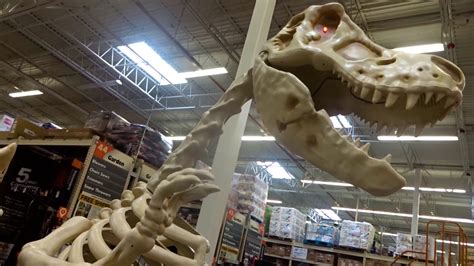 T-Rex Skeleton Statue T-Rex Skeleton, 42% OFF