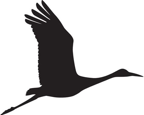 Sandhill Crane Drawing Free Download On Clipartmag