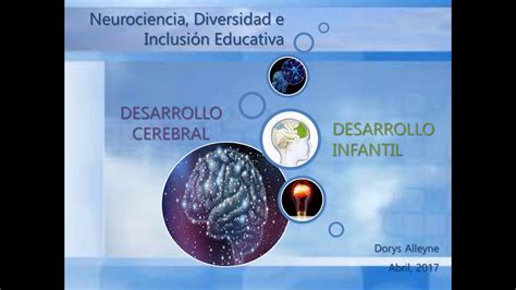 Desarrollo Cerebral Y Su Relación Con El Desarrollo Infantil Youtube