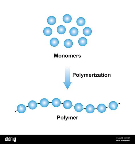 Conception scientifique de la réaction de polymérisation Conversion