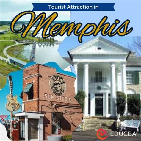 Top 18 Tourist Attraction In Memphis You Have To See 2024