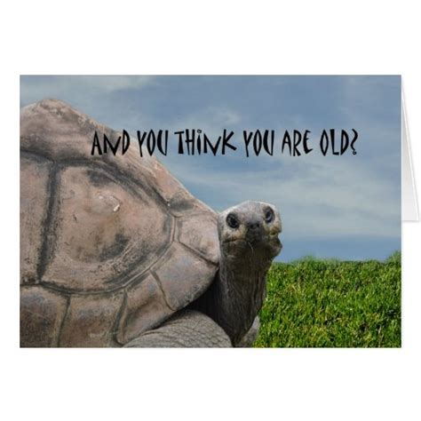 Sea Turtle Funny Quotes. QuotesGram