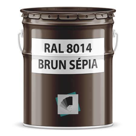 RAL 8014 brun sépia Pot ou bombe peinture ral