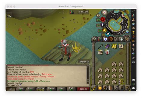 First Pet R2007scape