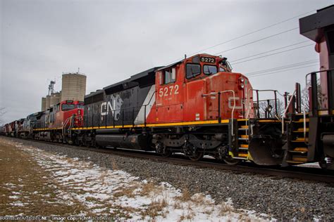 CN 5272