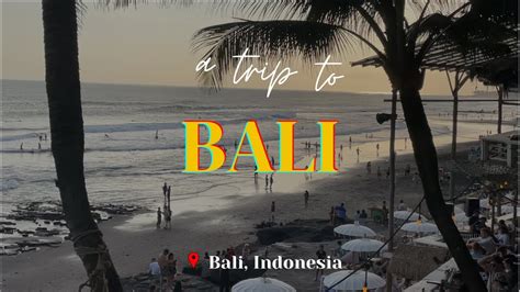 BALI ITINERARY 4 DAYS Dolphin Watching Bali Waterfall La Brisa