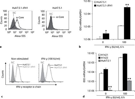 Ongoing Hcv Replication In Huh751 Cells Enhances Ifn γ Induced Ido Download Scientific