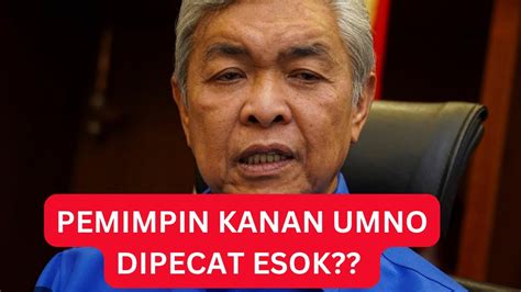 MEMANG PATUT ZAHID PECAT PEMIMPIN KANAN UMNO INI YouTube