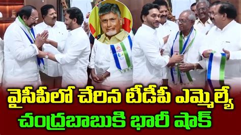 వైసీపీ లోకి టీడీపీ ఎమ్మెల్యేచంద్రబాబుకి భారీ షాక్ Tdp Mla Join Ycp