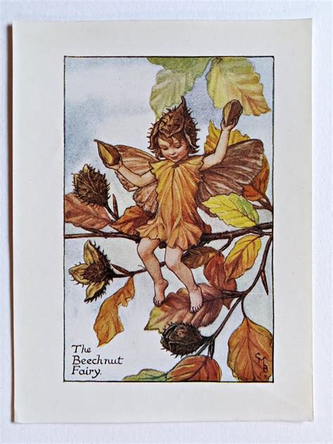 Beechnut Flower Fairy Print Flower Fairy Prints