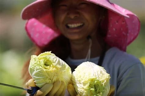 厉行节约反对浪费这个假期珍惜粮食从每个金昌人做起 凤凰网视频 凤凰网