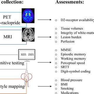 Whitematter lesion burden A volume in cm³ B number of lesions for