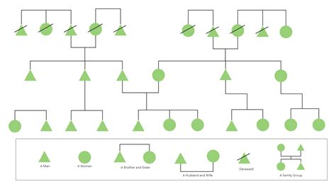 Fillable Kinship Chart EdrawMax Template