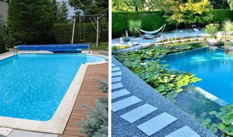 Baignade Naturelle Transformer Une Piscine Classique En Bassin