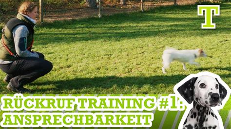 Sicherer R Ckruf Hund R Ckruf Hundetraining Teil Ansprechbarkeit