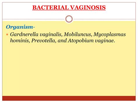 Infections During Pregnancy Ppt