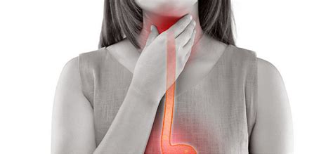 Guide To Swallowing Disorders In Adults Sane Md Explains