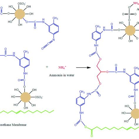 Schematic illustration reaction of ammonia in water by PUM-RSB forms ...