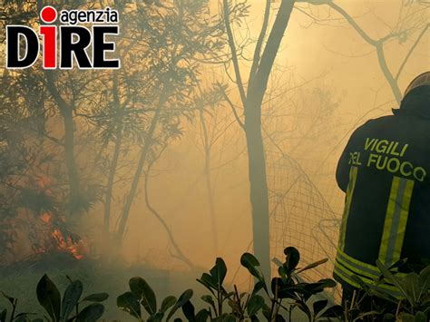 La Denuncia Del Conapo Gli Incendi Aumentano Ma I Vigili Del Fuoco