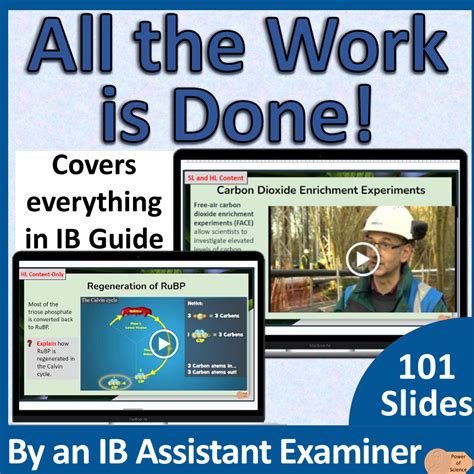 IB Biology C1.3 Photosynthesis - IB Diploma First Exams 2025 | Teaching ... 