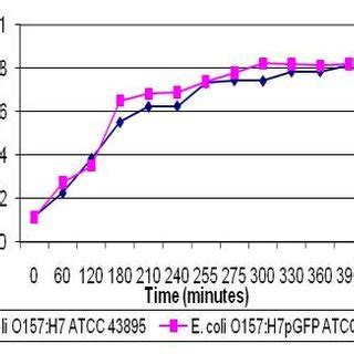 Growth Curves Of E Coli O H Atcc Wild Type And Pgfp