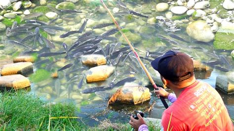 Jangan Percaya Mancing Disini Terasa Paling Beruntung TC254 YouTube