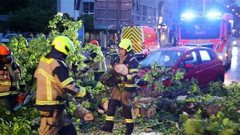 Unwetter Stamm Von Kastanie Verfehlt Auto In G Ttingen Knapp