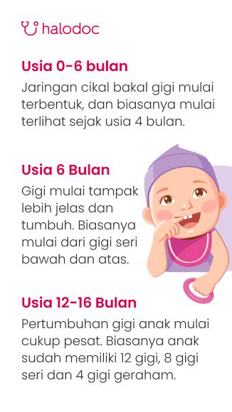 Begini Tahap Pertumbuhan Gigi Anak Sesuai Usia