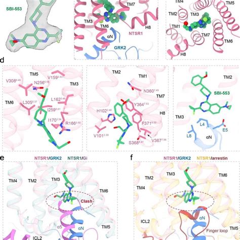 Cartoon Presentation Of Ntsr1 Signaling Mediated By G Protein And