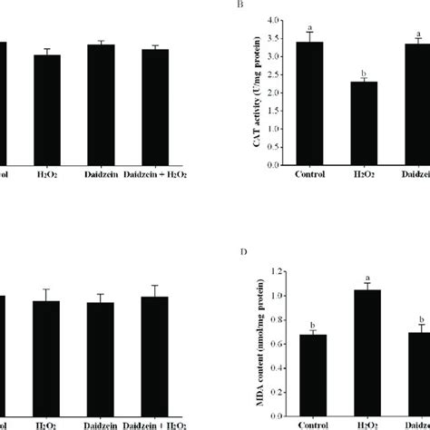 Effects Of Daidzein On Antioxidant Enzyme Activity And Mda Content In