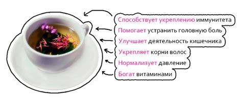 Иван-чай: свойства и противопоказания ★ 15 ПОЛЕЗНЫХ СВОЙСТВ